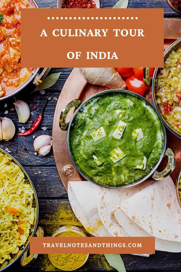 cook travel india