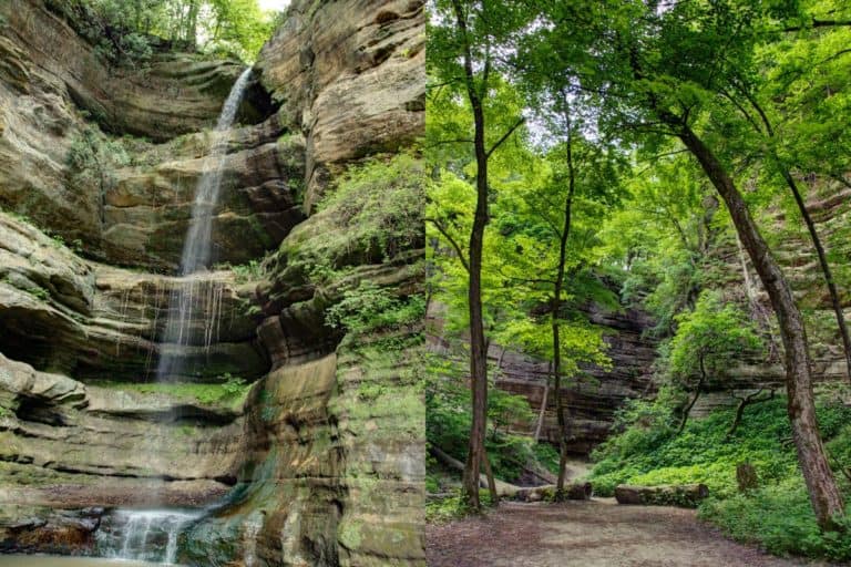 24 Best State Parks In Illinois To Visit In 2024 | Travel Notes And Things