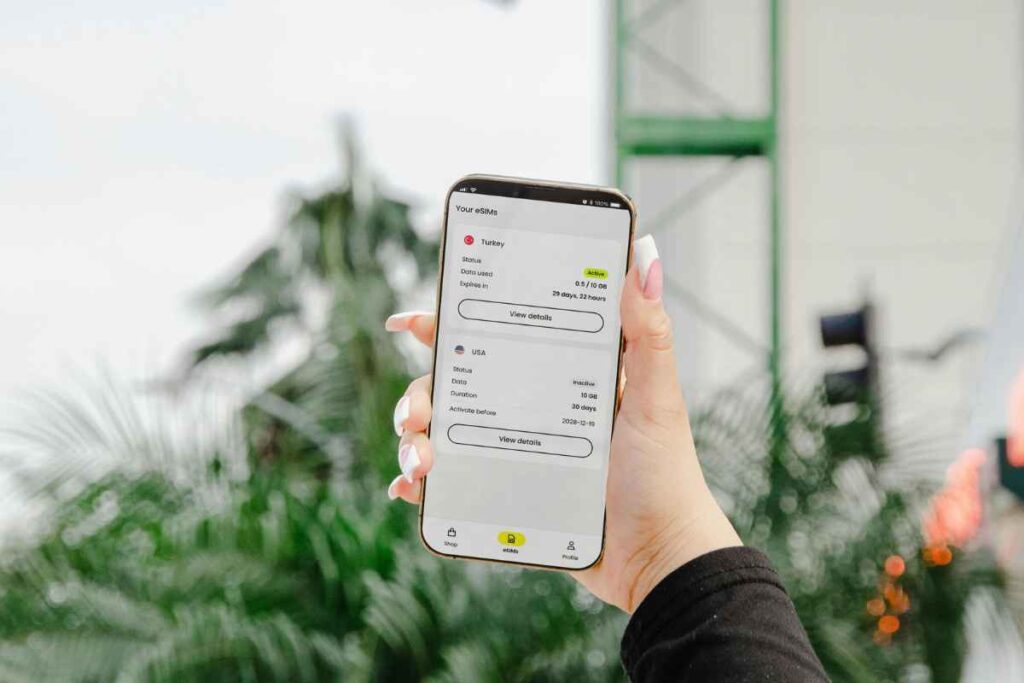 A hand holding a smartphone displaying eSIM details for Turkey and the USA, with green active status indicators, against a blurred outdoor background with palm trees.